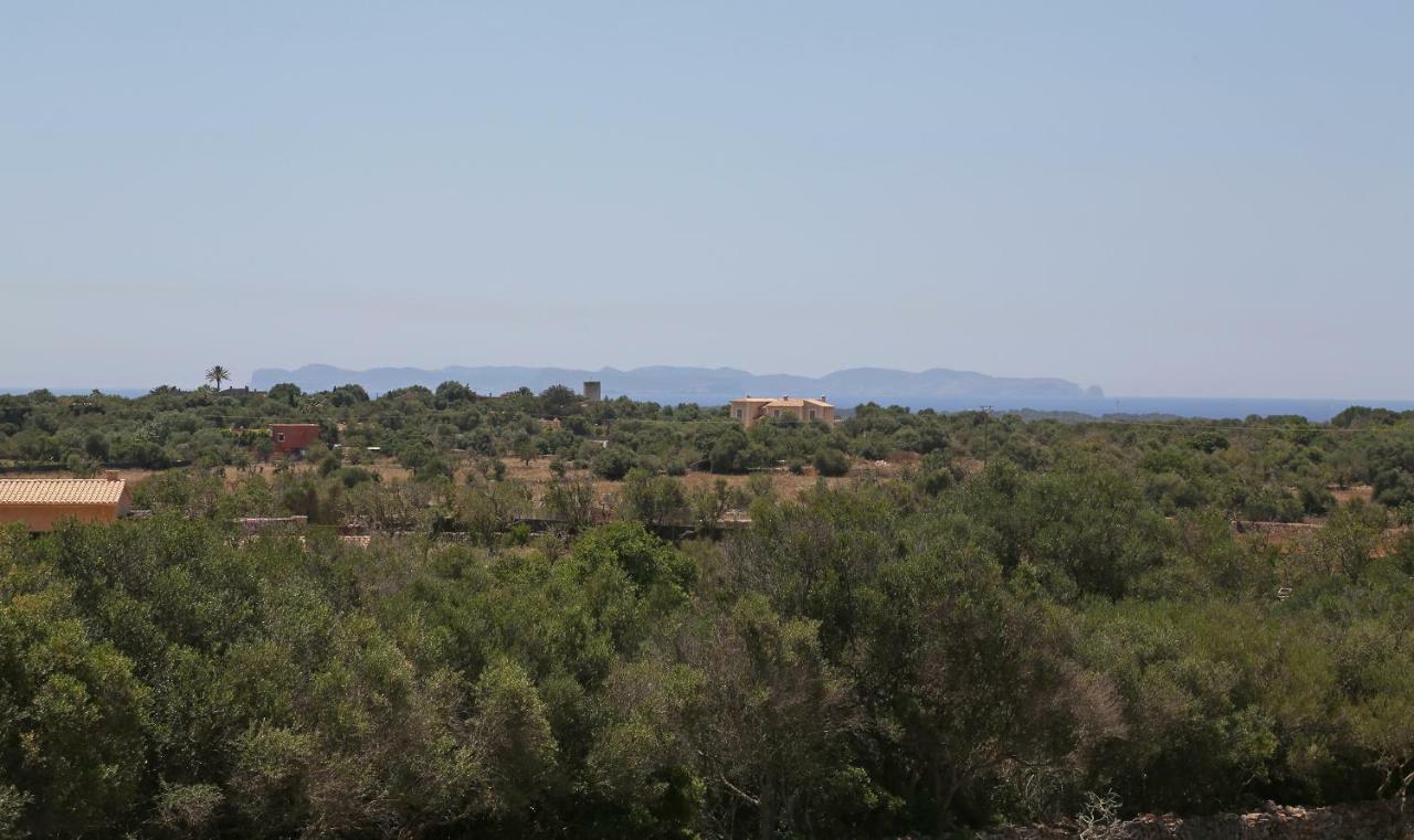 Finca Tiana Ses Salines  Exterior photo
